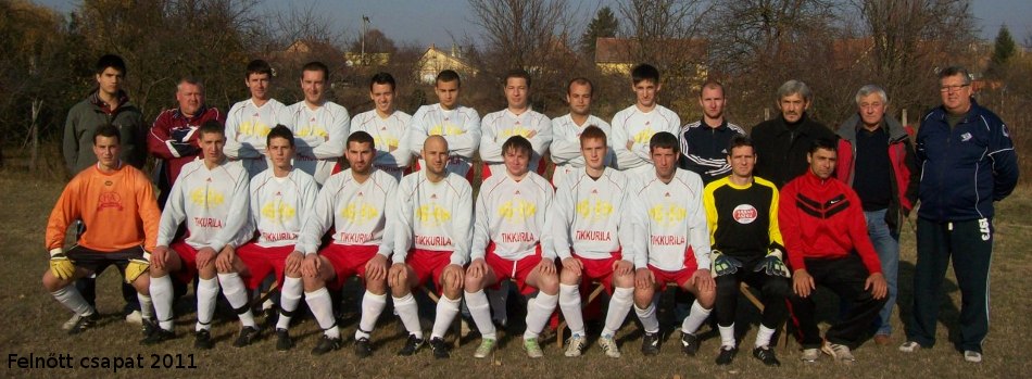 Felnőtt 2011