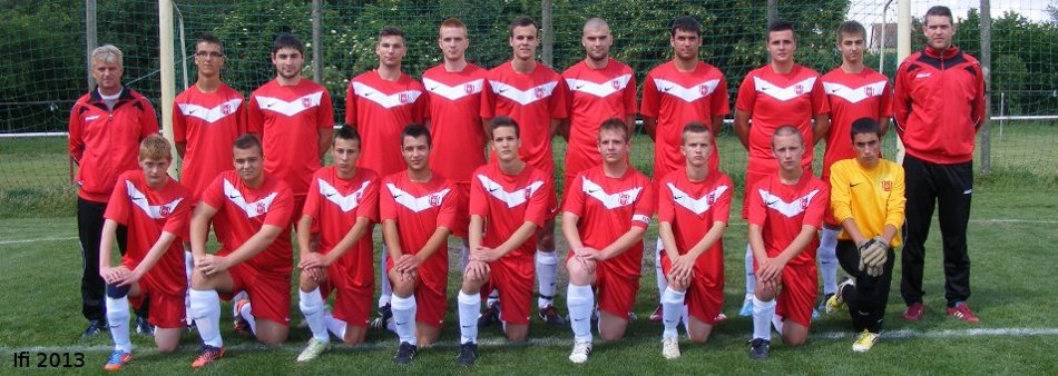 Ifi 2013